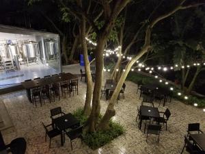 Craft beer and burgers